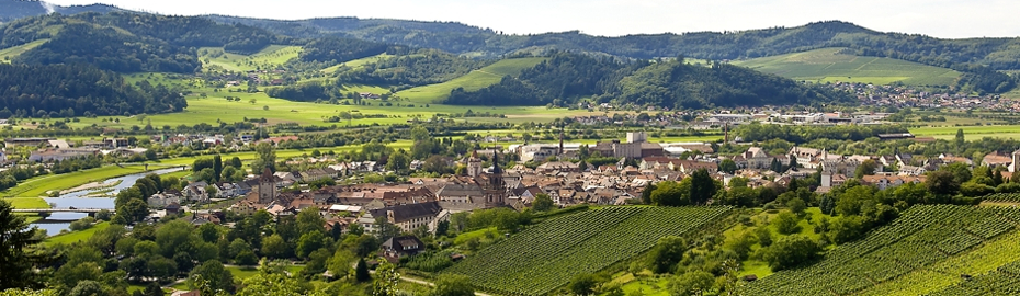 Blick auf die Stadt Gengenbach