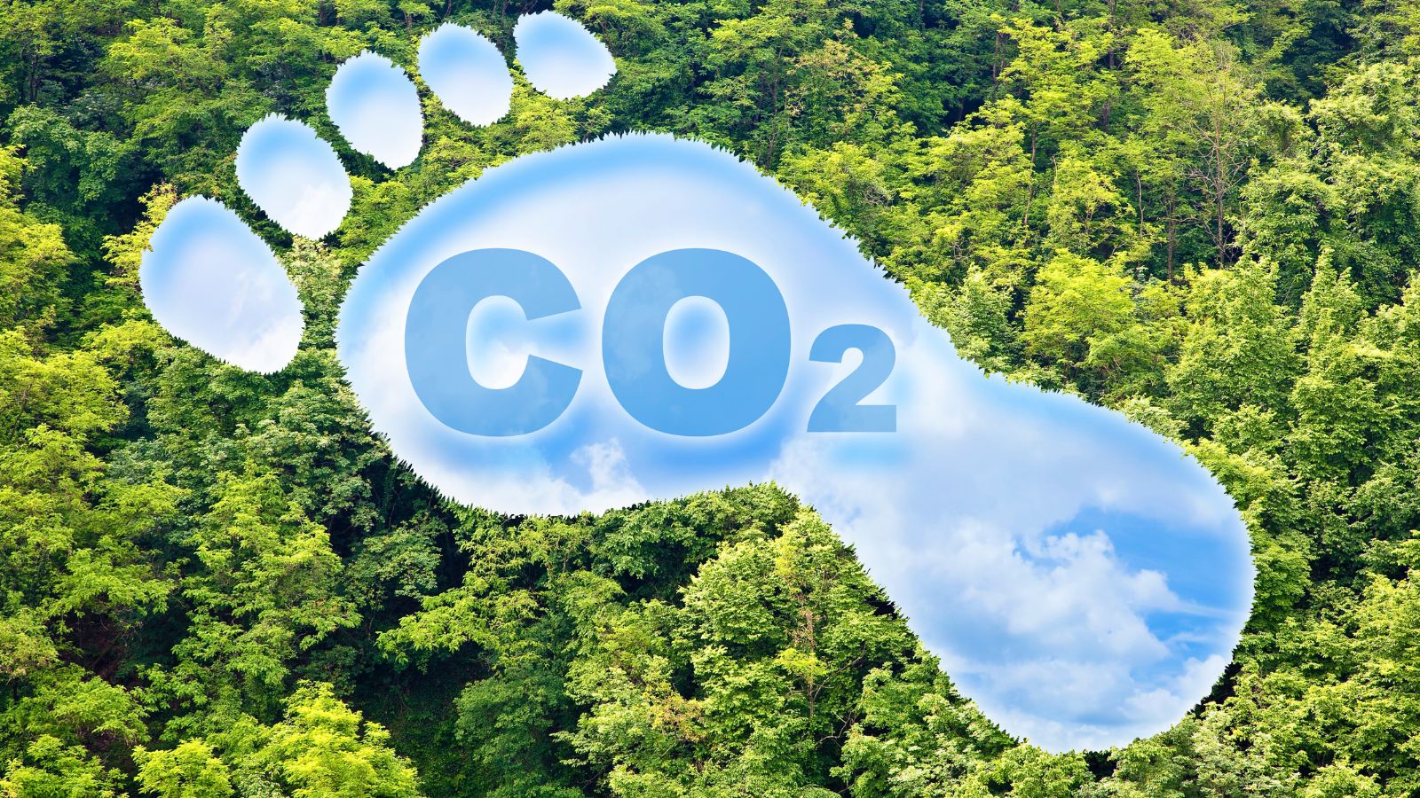 Die Bedeutung der CO2-Bilanz