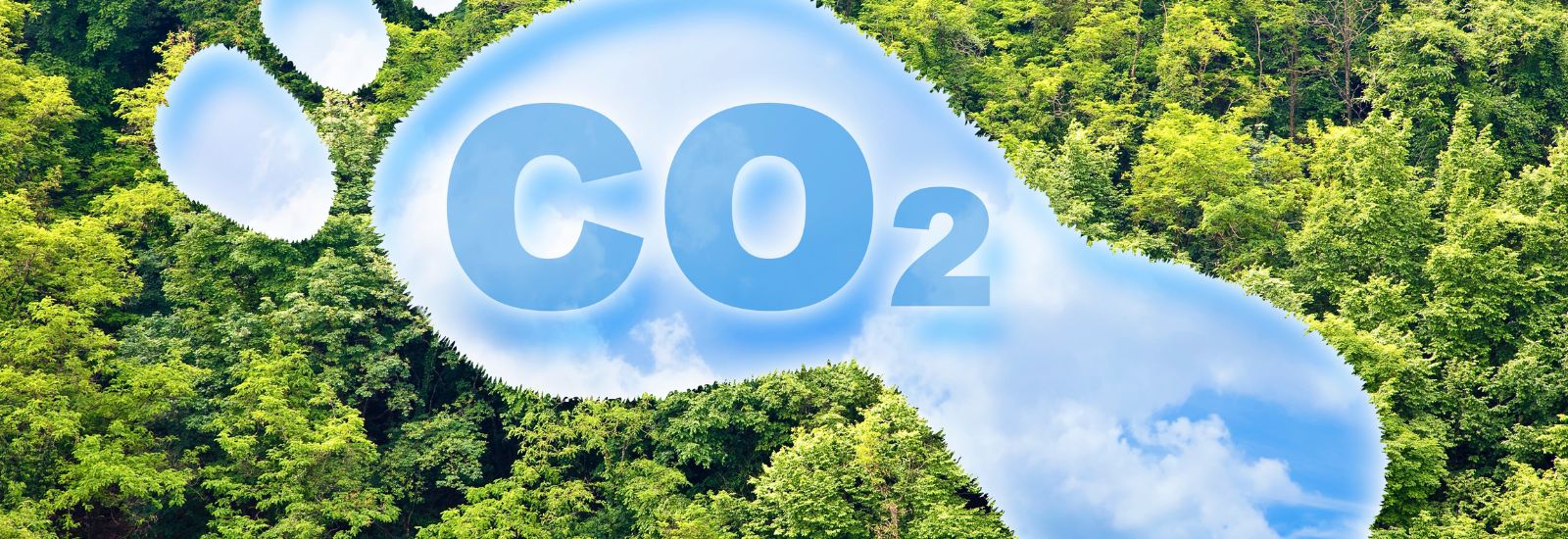 Die Bedeutung der CO2-Bilanz