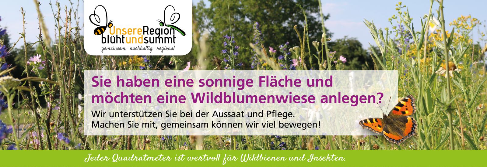 Aussaat und Pflege