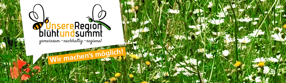 Unsere Region blüht und summt