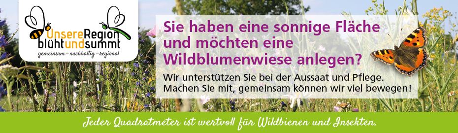Unsere Region blüht und summt