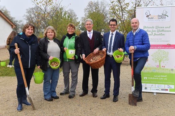 Große Pflanzaktion