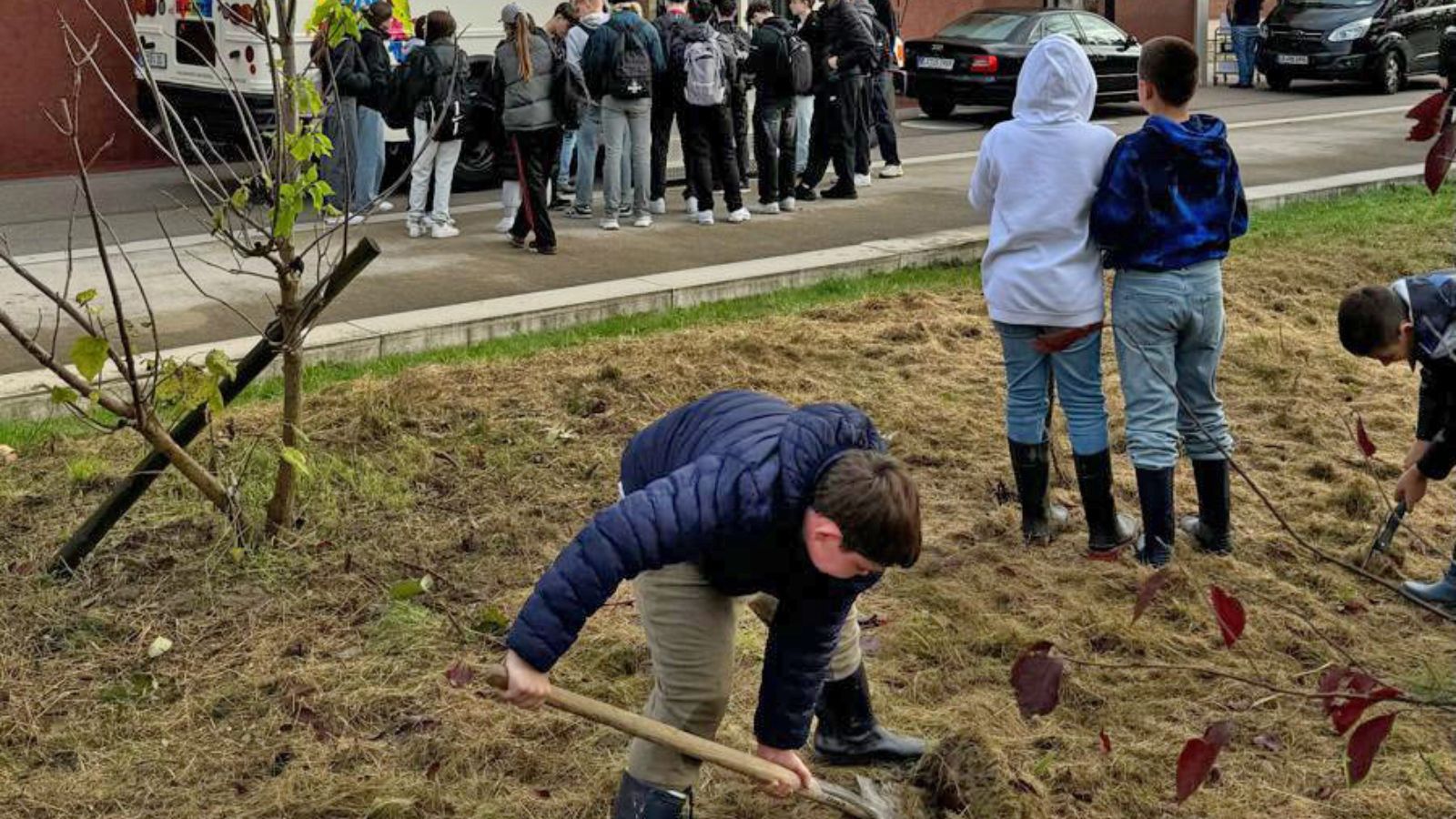Erfolgreiche Blumenzwiebelpflanzaktion – Lahrer Schülerinnen und Schüler setzen 9.000 Narzissenzwiebeln im Bürgerpark