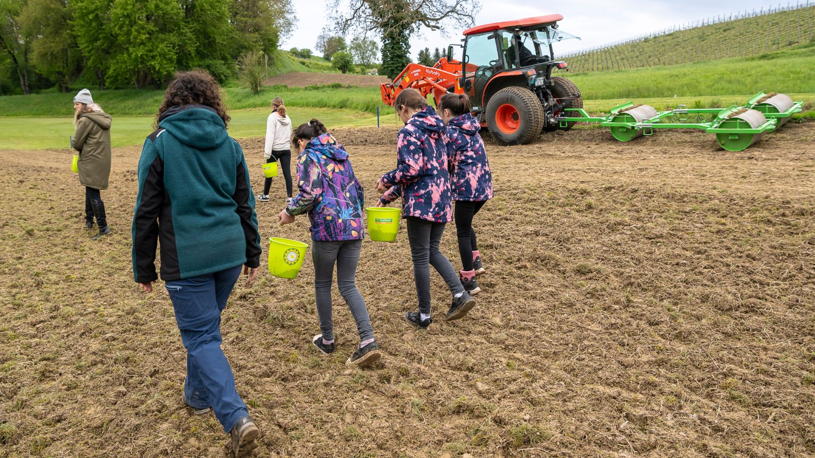 Volksbank Lahr sucht wieder Flächen für Wildblumenwiesen
